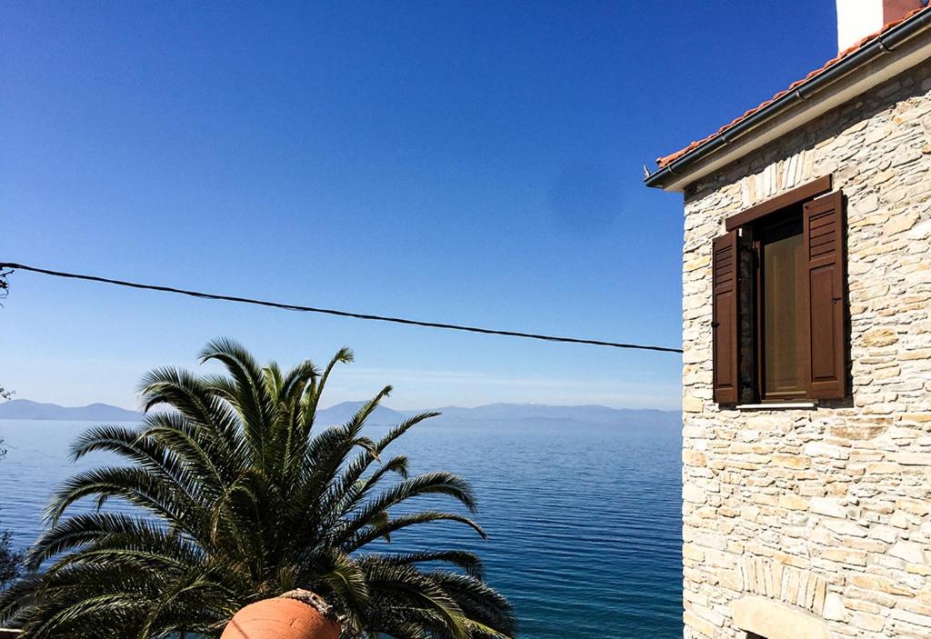 a building and a palm tree next to the ocean at Stone Villa Pelion in Afissos