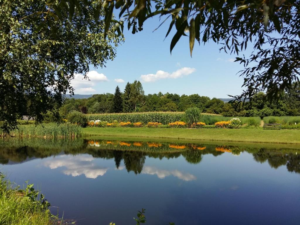 uma vista para um lago com um campo de flores em Hotel und Freizeitanlage Rauch-Hof em Stainz