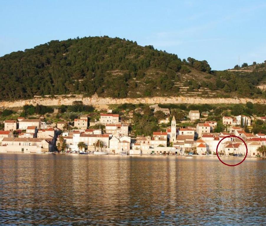 Příroda nedaleko apartmánu