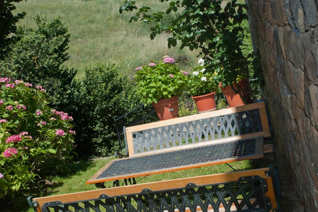 Zahrada ubytování Viviendas Rurales Traldega