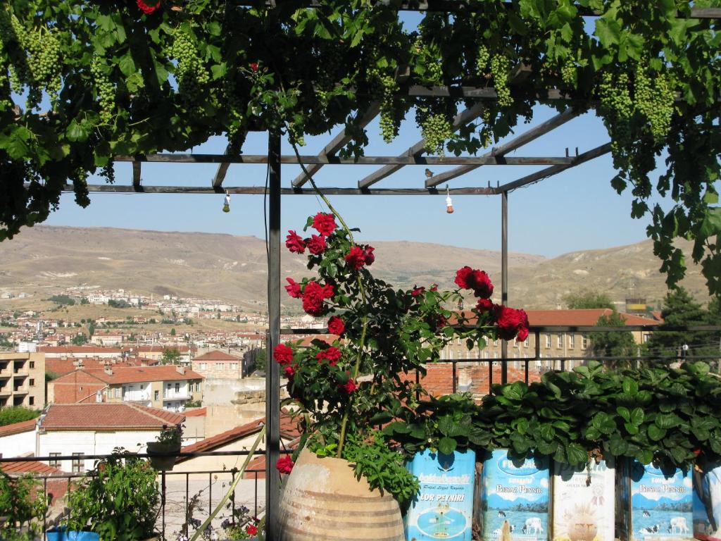 a bunch of roses hanging from a pergola at Dar Konak Pansiyon in Ürgüp