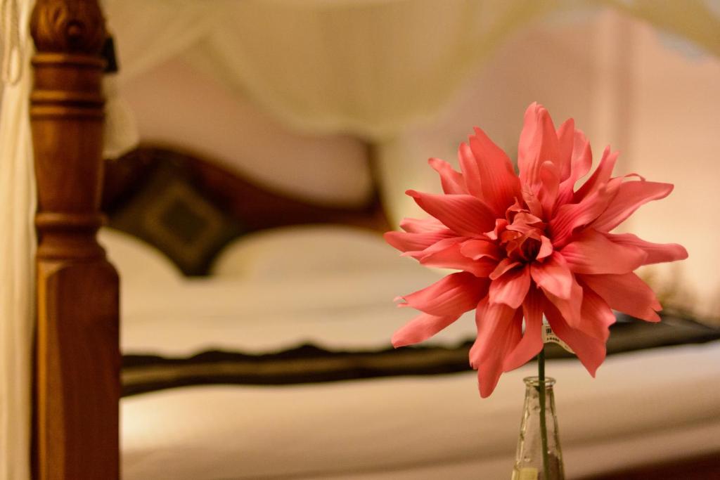 Bali House - Deluxe Queen Room