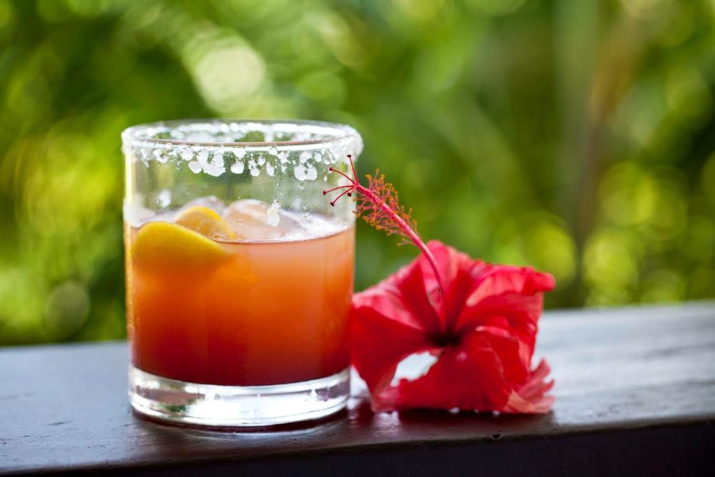 a drink in a glass next to a red flower at Firefly Estate Bequia in Crescent Beach