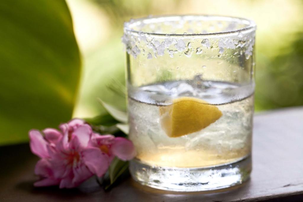 a glass of water with lemon and flowers on a table at Firefly Estate Bequia in Crescent Beach