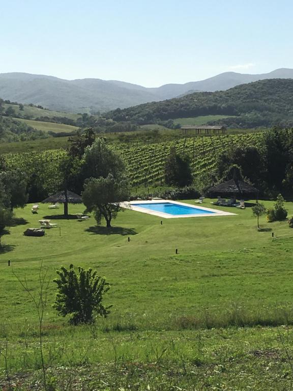 Basen w obiekcie Agriturismo Villetta Di Monterufoli lub w pobliżu