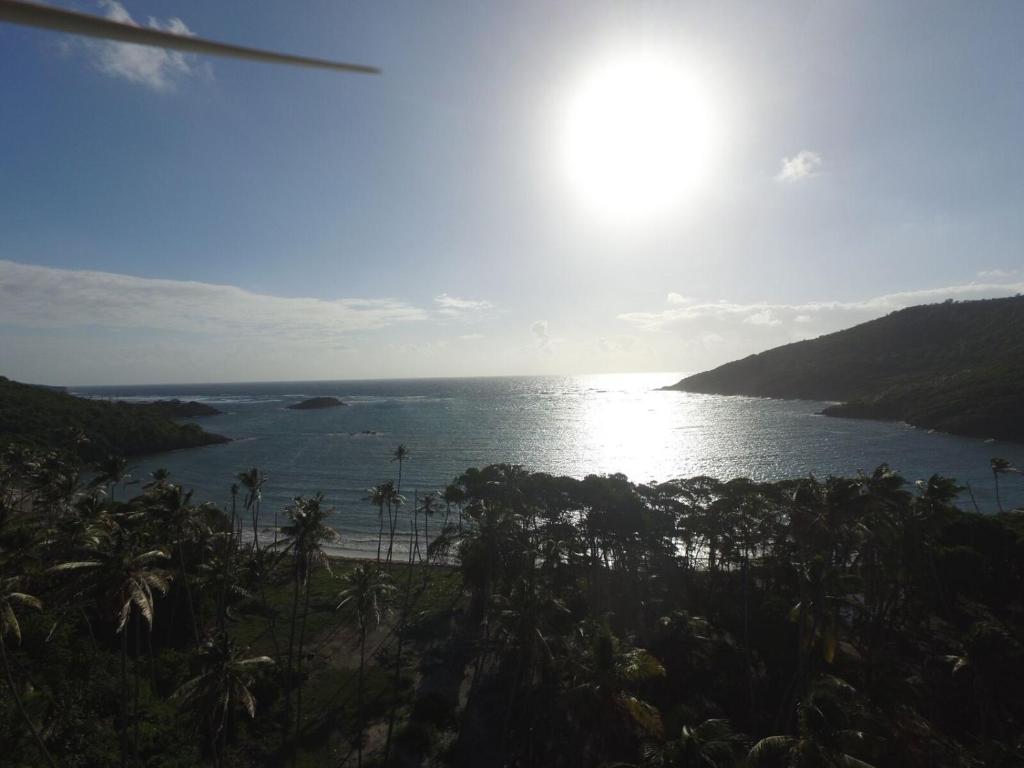 a view of a body of water with palm trees at Firefly Estate Bequia in Crescent Beach