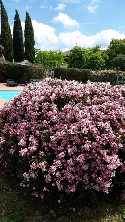 A garden outside Agriturismo Bonzalone