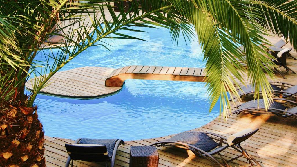 a swimming pool with chairs and a palm tree at Le Mas d'Olivier in Plan-de-la-Tour