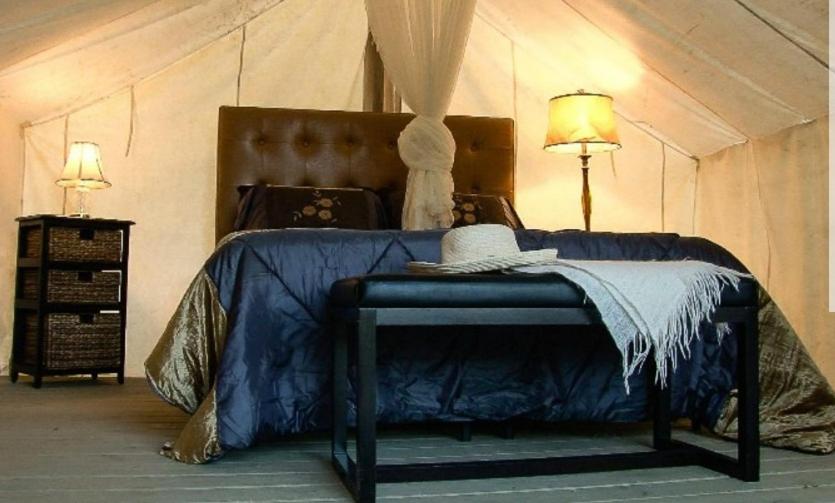 a bedroom with a bed with a blue blanket and two lamps at Allen Ranch in Hot Springs