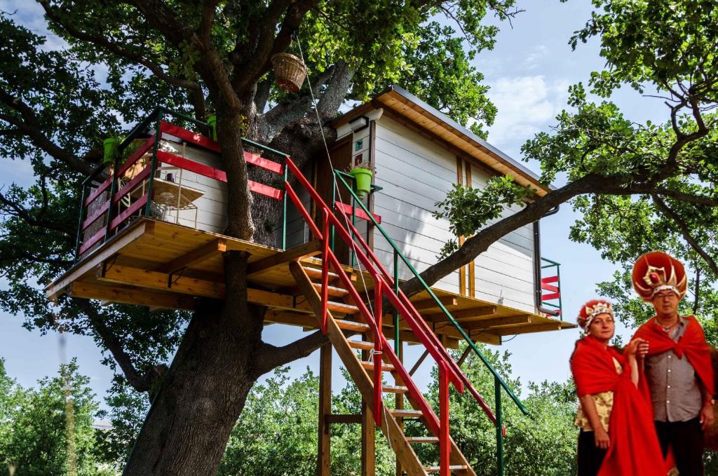 Hosté ubytování Casa sull'Albero