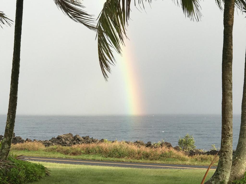 Nice Studio w/ AC near Kehena Beach and lava fields - Studio Avec Vue Sur La Mer Lointaine