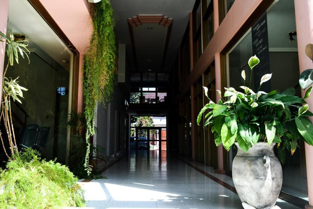 Exteriér nebo vchod ubytování Argenta Apart Hotel