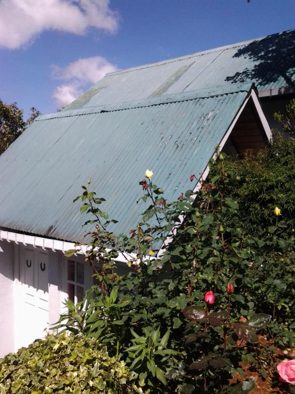 Sincere Wilderness Home stay - 11