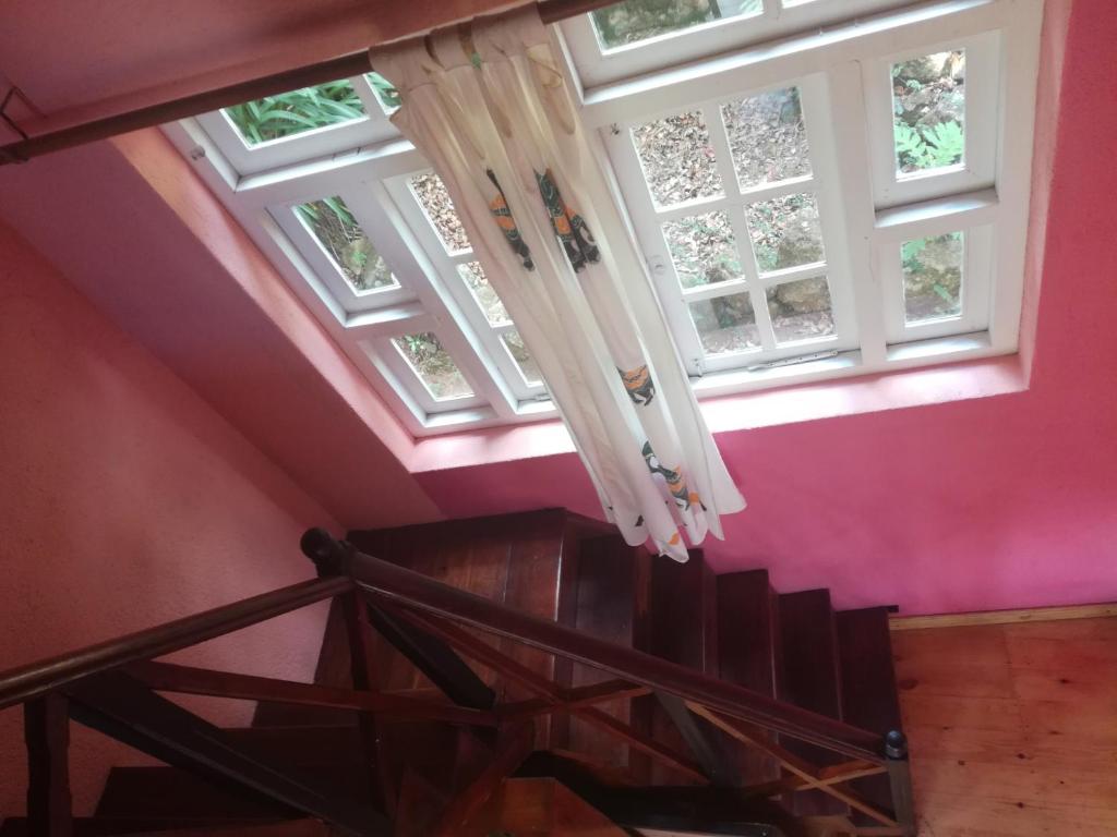 Sincere Wilderness Home stay - 9