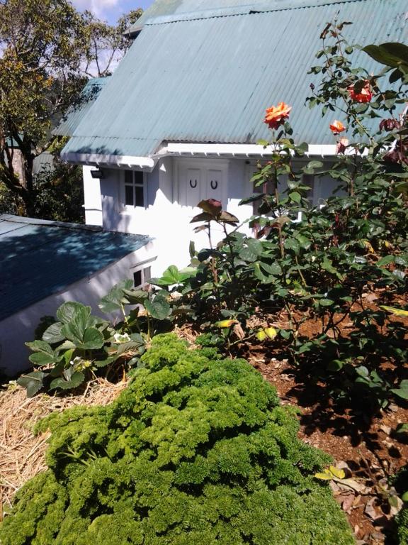 Sincere Wilderness Home stay - 8