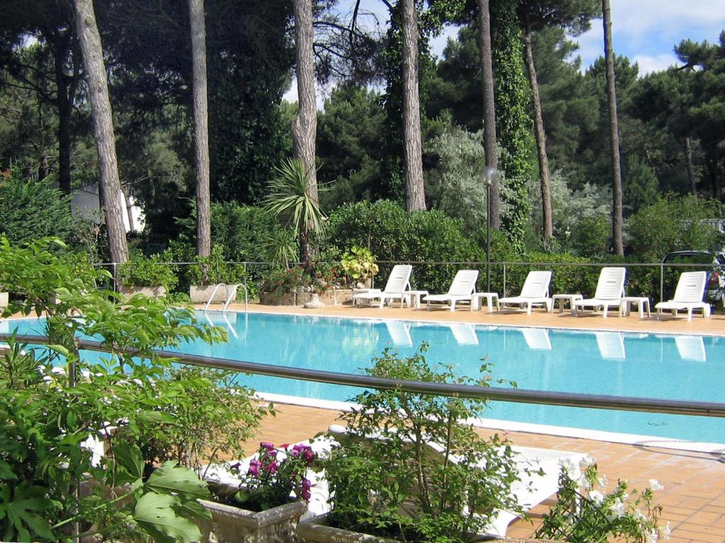 una piscina con tumbonas blancas y palmeras en Hotel Europa Park en Lido di Spina