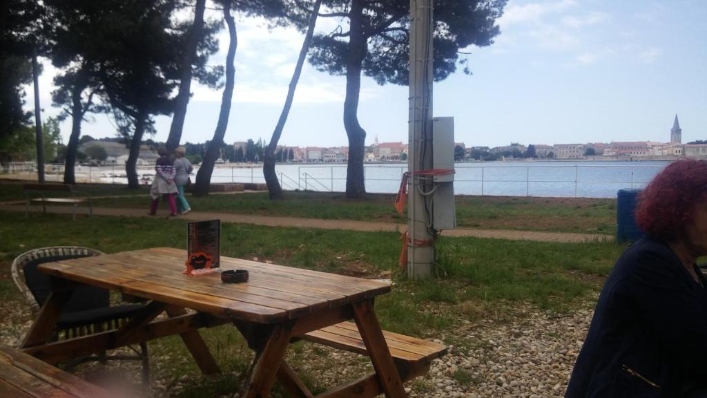 Przyroda w pobliżu tego apartamentu