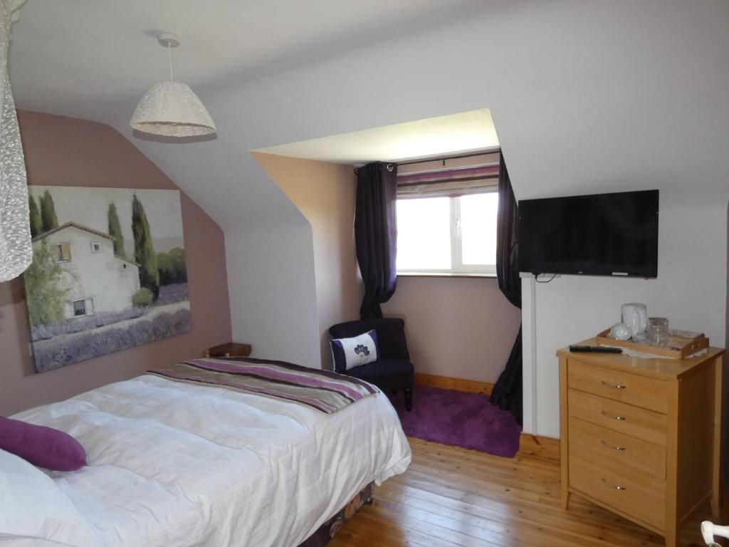 TV a/nebo společenská místnost v ubytování Aghadoe View Bed & Breakfast