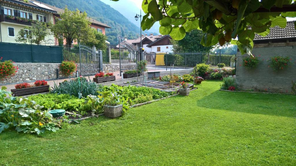 Zahrada ubytování Casa Luca e Cristina