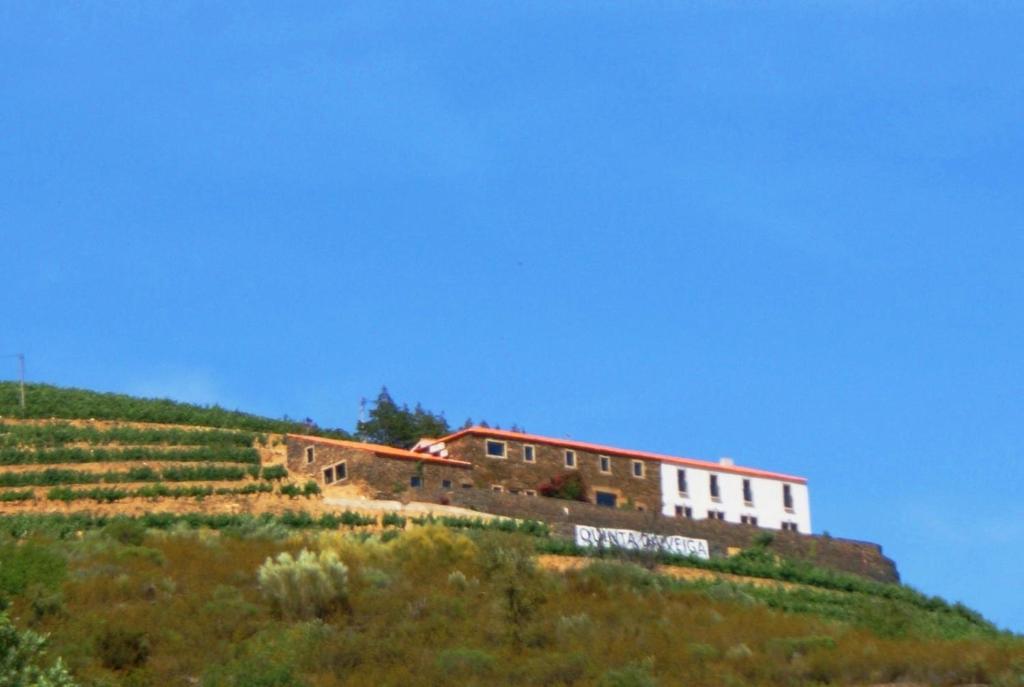 Gallery image of Quinta da Veiga in Covas do Douro