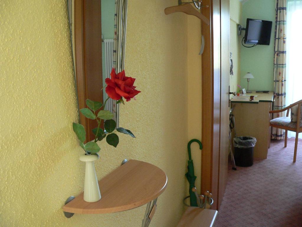 TV a/nebo společenská místnost v ubytování Hotel zum Friedl