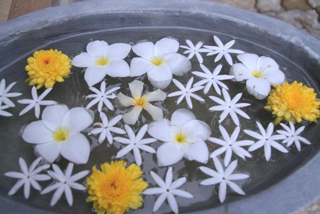 Coral Palm Villa and Apartment - 13