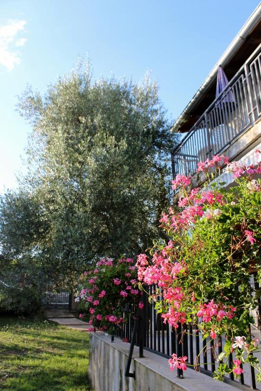 a garden with pink flowers on a fence at Turković Apartments in Žgaljić