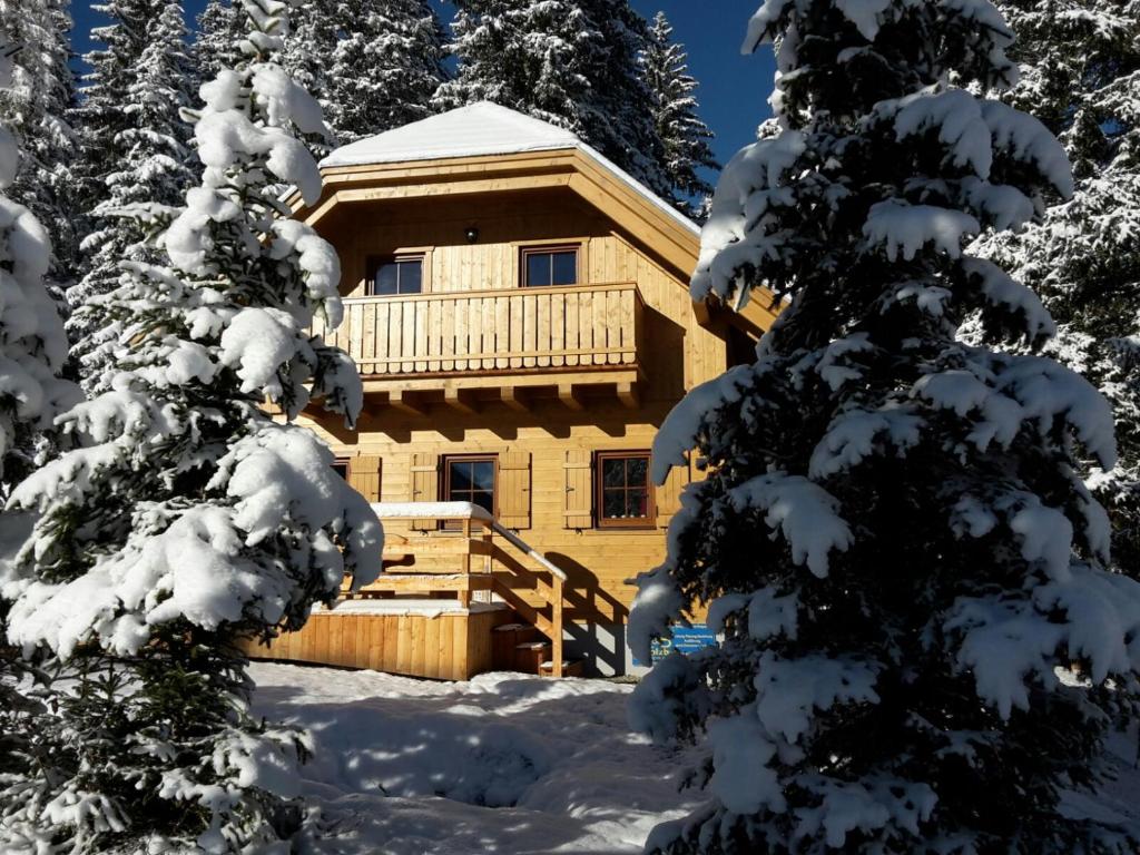 FlattnitzAlmhaus & Almchalet Flattnitz的雪地里的小木屋,有雪覆盖的树木