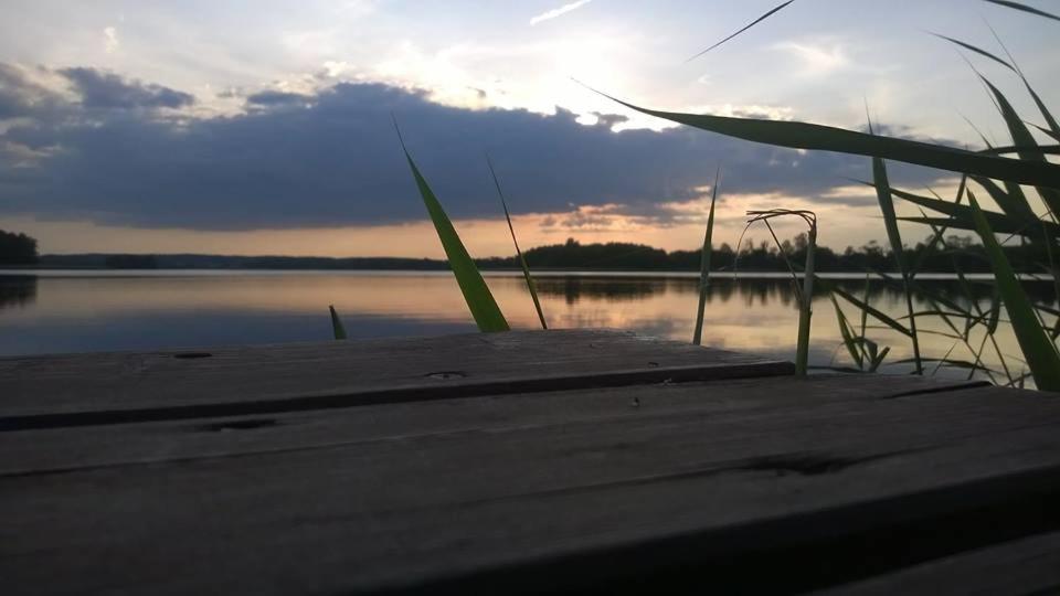 Príroda v okolí chaty v prírode