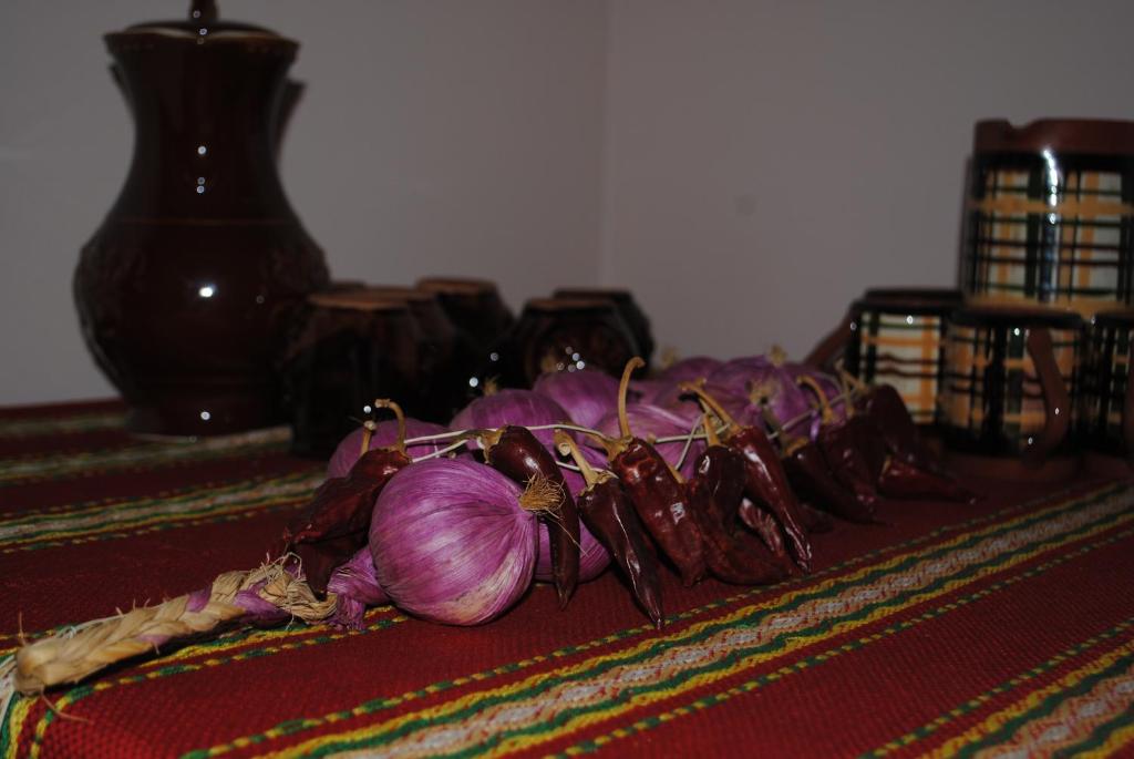 Fotografie z fotogalerie ubytování Guest House Vodolei v destinaci Kotel