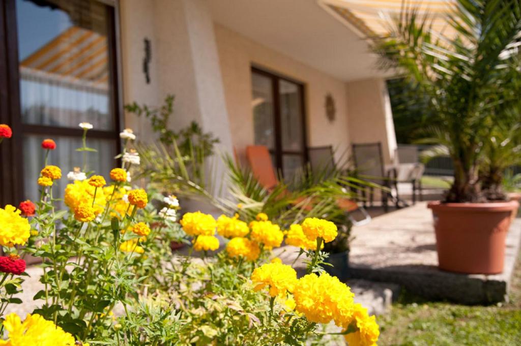 a garden with yellow flowers in front of a house at Ferienwohnung Völkl in Böbrach