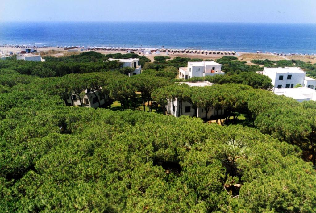 un grupo de casas en una colina junto al océano en Homeholiday Giulivo, en Baia Domizia