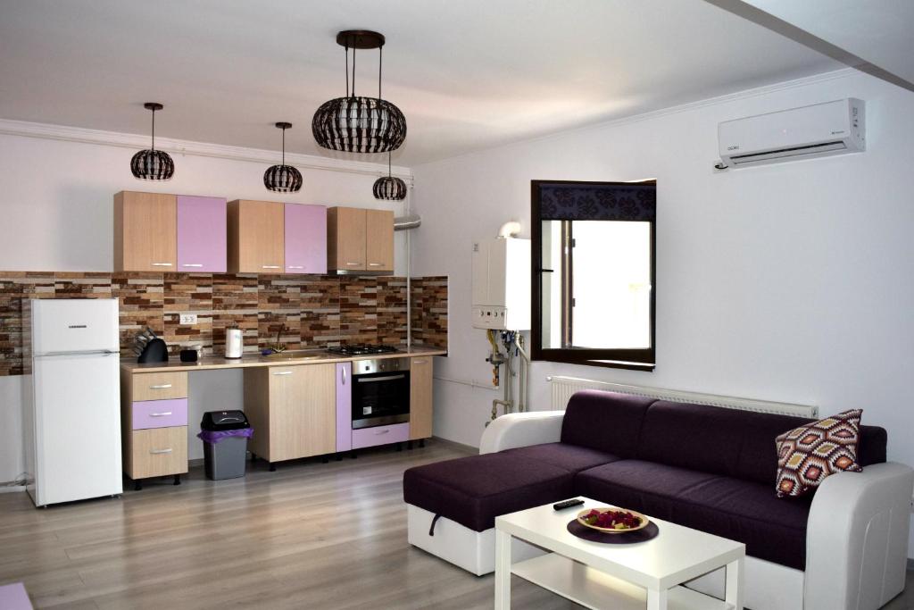 Η κουζίνα ή μικρή κουζίνα στο Apartament Liliac