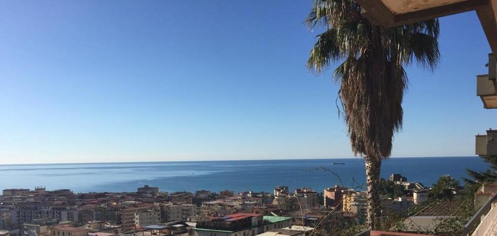 a view of a city with a palm tree and the ocean at Le ginestre di Titina - casa vacanza in Salerno