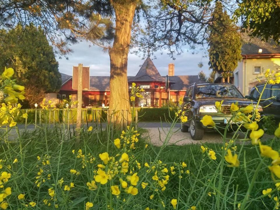 a car parked in a yard next to a tree at Polgármester Étterem és Panzió in Fertőszéplak