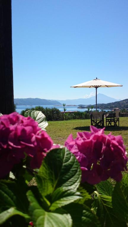 a group of pink flowers and an umbrella at Studios Erotokritos in Ammouliani