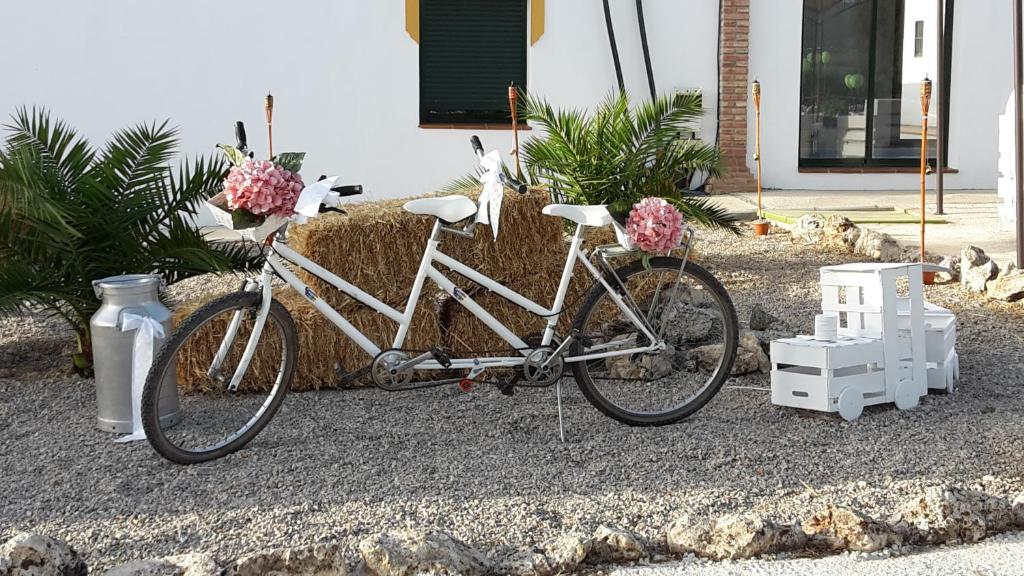 Montar en bicicleta en Alojamiento Rural El Chaparral o alrededores