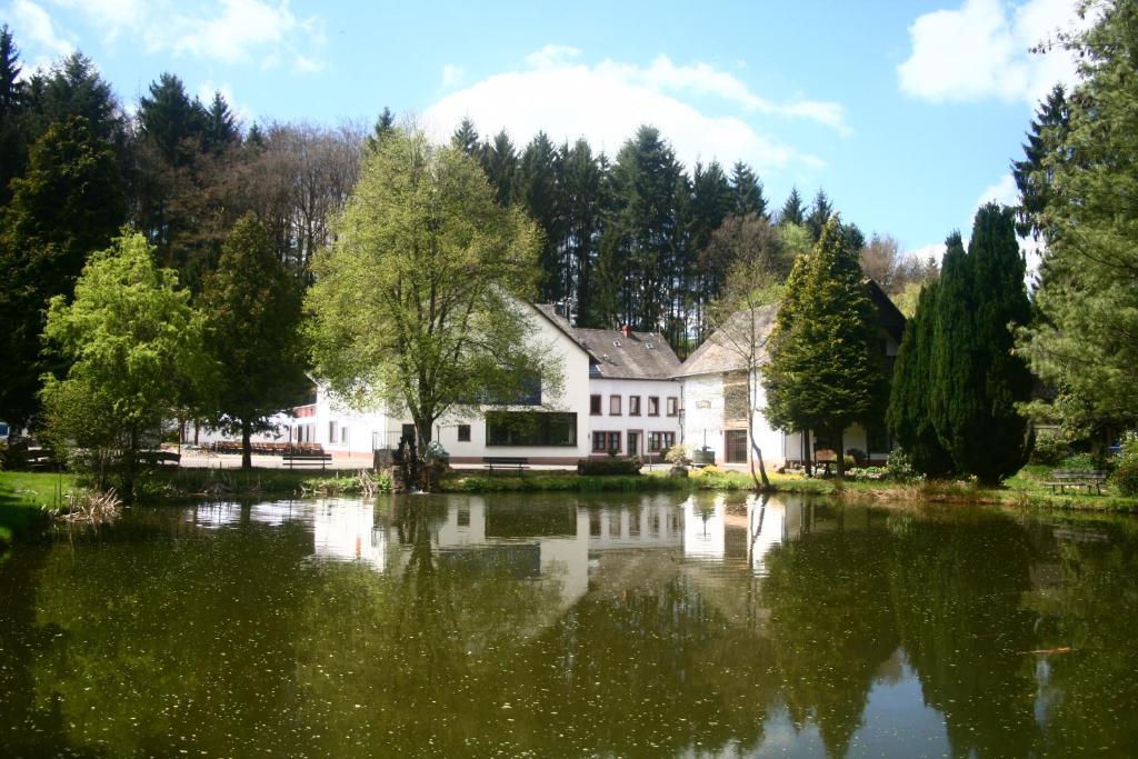 uma casa com um lago em frente em Bescheider Mühle em Bescheid
