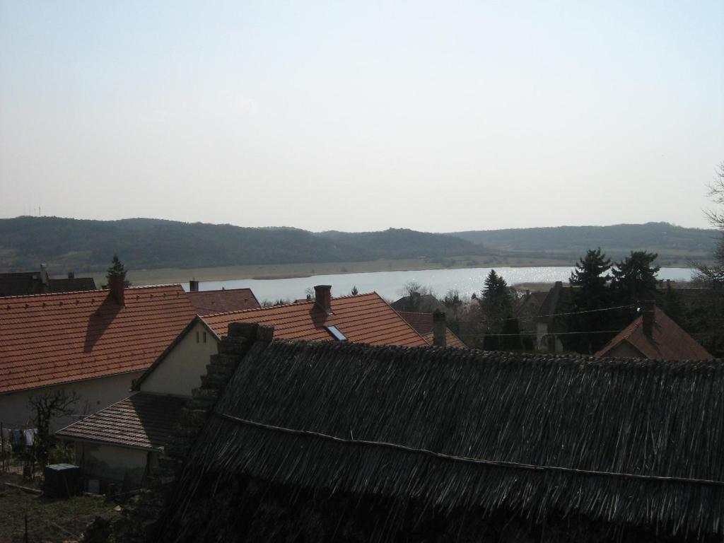 Príroda v okolí penziónu