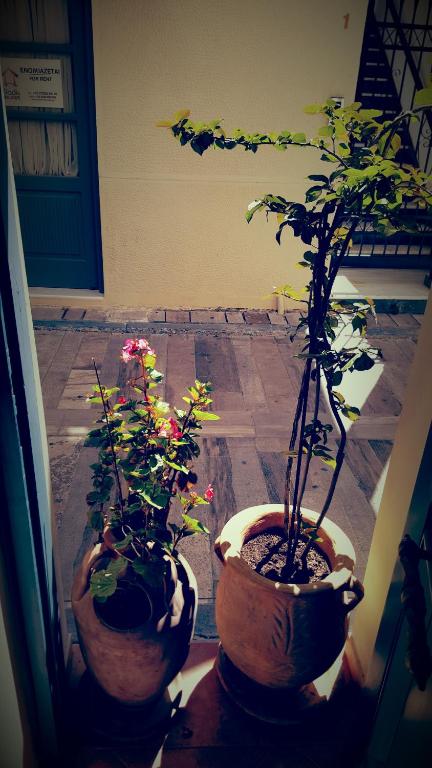 Giardino di Polyxenia Hotel