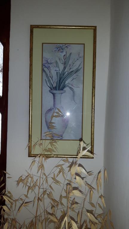 Fotografie z fotogalerie ubytování Lili's House v destinaci Ližnjan