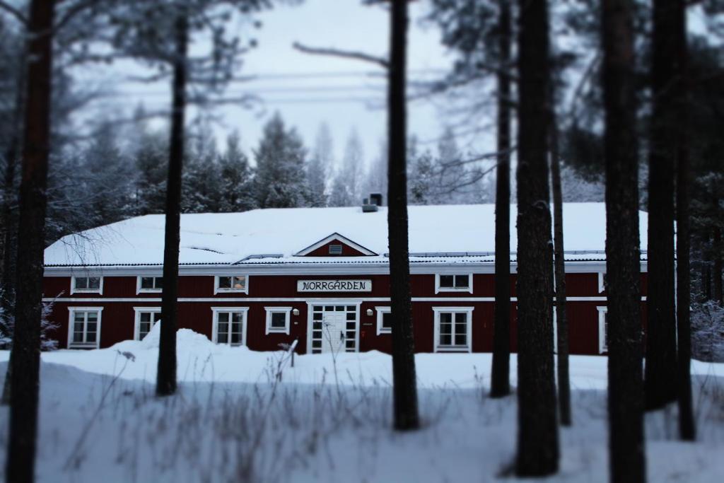 Svanstein Lodge v zimě