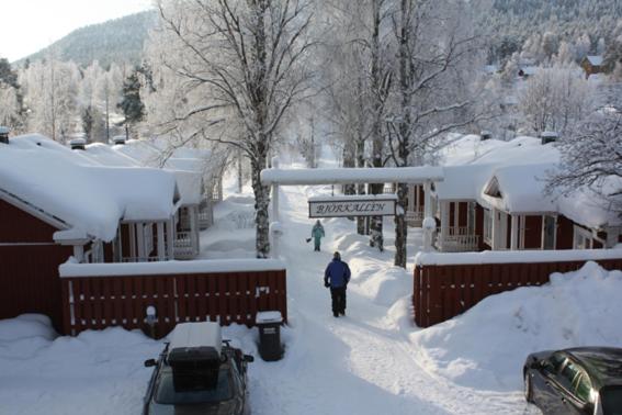 Svanstein Lodge v zimě