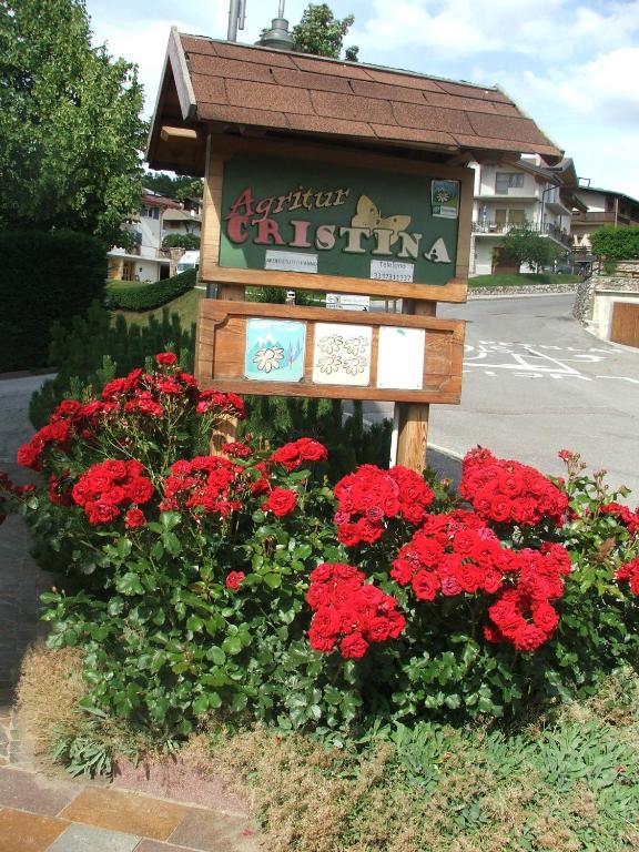 Zahrada ubytování Agritur Cristina