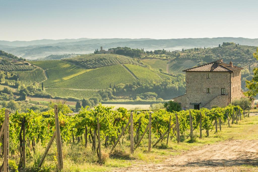 een onverharde weg door een wijngaard met een gebouw op de achtergrond bij Agriturismo Il Casolare Di Bucciano in San Gimignano