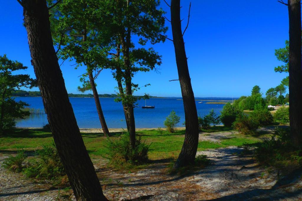 een uitzicht op het water door de bomen bij Mobilandes Sanguinet in Sanguinet