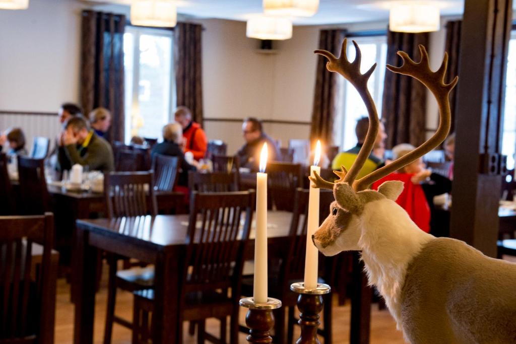 Hosté ubytování Svanstein Lodge