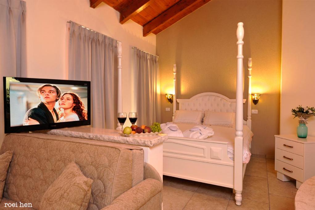 TV a/nebo společenská místnost v ubytování Old City Inn