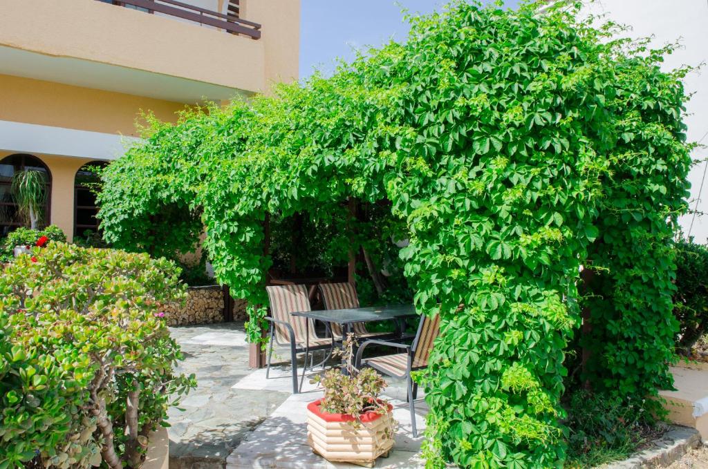 Zahrada ubytování Alkion Hotel