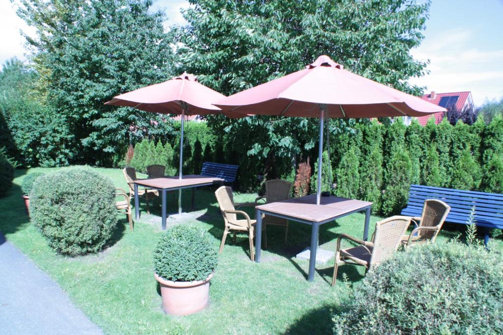 Zahrada ubytování Hotel Vier Linden